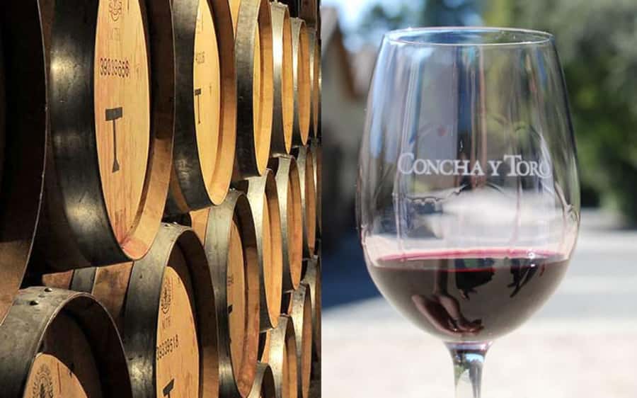Santiago: Concha y Toro Vineyard Tour w/ Transfer & Tasting - Who will enjoy this tour most?