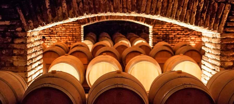 Santiago: Concha y Toro Winery 4–Hour Tour & Sommelier Class - The Garden of Varieties and 26 grape types
