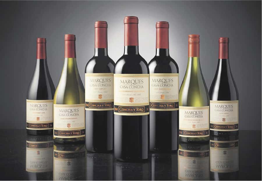 Santiago: Concha y Toro Winery 4–Hour Tour & Sommelier Class - Three standard tastings before the premium flight