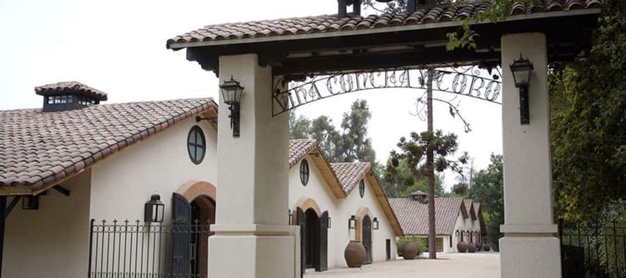 Santiago: Concha y Toro Winery 4–Hour Tour & Sommelier Class - The sommelier class with four premium wines