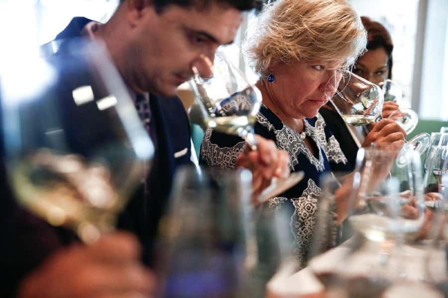 Santiago: Concha y Toro Winery 4–Hour Tour & Sommelier Class - Walking through the family estate gardens