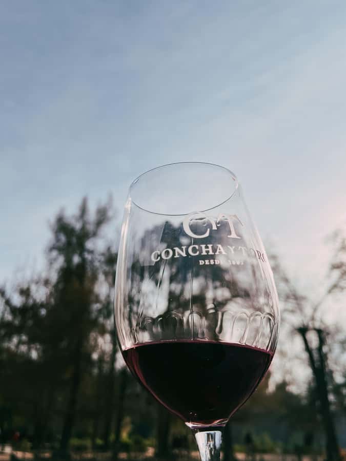 Santiago: Concha y Toro with transfer, tasting & gift cup - Walking through the Concha y Toro family gardens