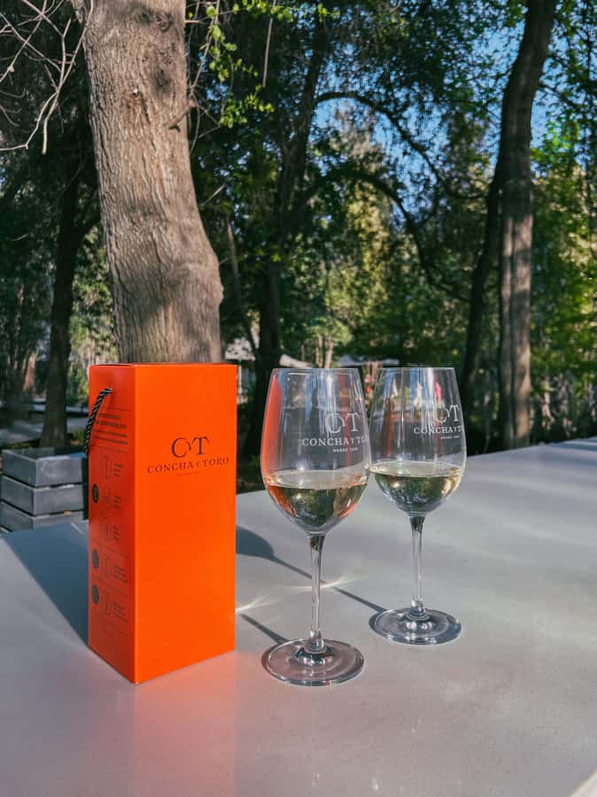 Santiago: Concha y Toro with transfer, tasting & gift cup - The gift glass and the 30-minute shop stop