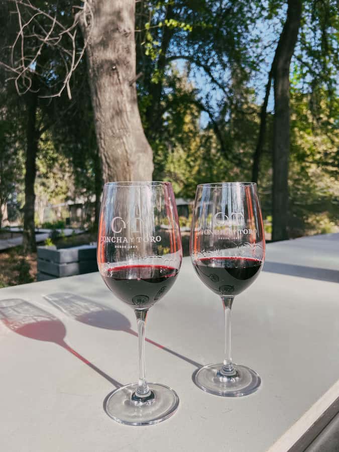 Santiago: Concha y Toro with transfer, tasting & gift cup - Guides and the quality of the presentation