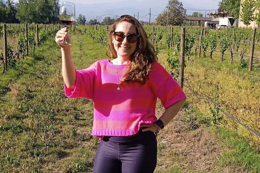 Santiago: Cousiño Macul Vineyard Premium Tasting Tour - The original cellar dating to 1856