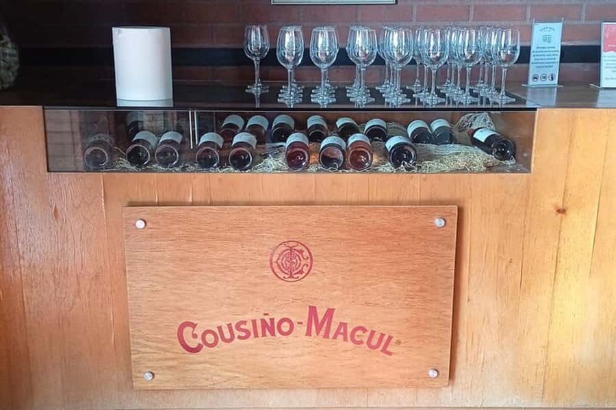 Santiago: Cousiño Macul Vineyard Premium Tasting Tour - What the $70 price really covers