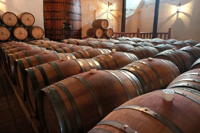 Santiago Full day tour to Maipo Valley, include entraces - Why Maipo Valley makes a good day trip from Santiago