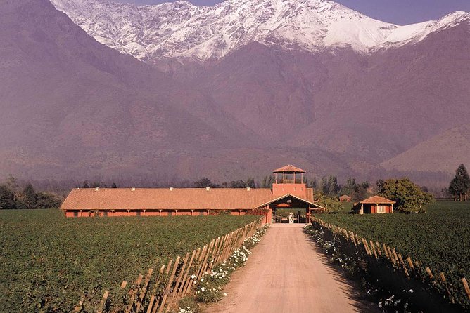 Santiago Full day tour to Maipo Valley, include entraces - Who should book this Maipo Valley tour?