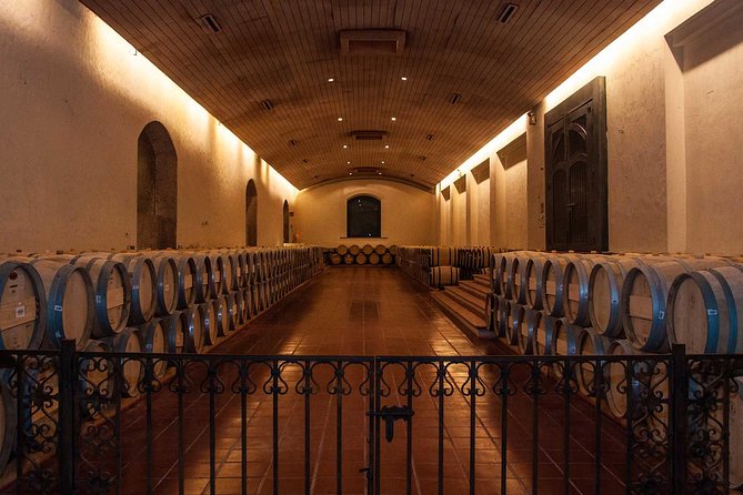 Santiago Full day tour to Maipo Valley, include entraces - The 8:30 a.m. pickup around Santiago