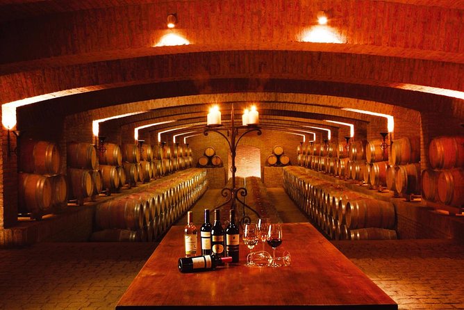 Santiago: Full day visiting Santa Rita & Undurraga vineyards. Entraces included - Transport is the part to check carefully