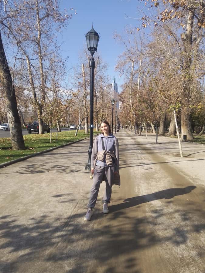 Santiago: Guided Walking Tour of the Historical Old Town - What the guide adds to the experience