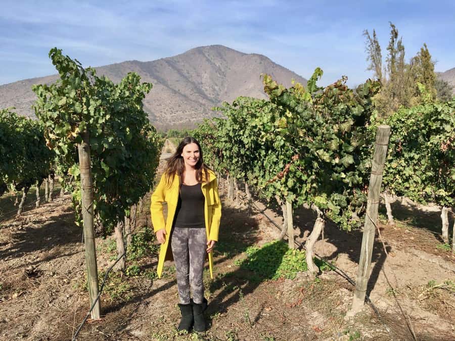 Santiago: Half-Day Santa Rita Winery Tour - Why Santa Rita Makes Sense From Santiago