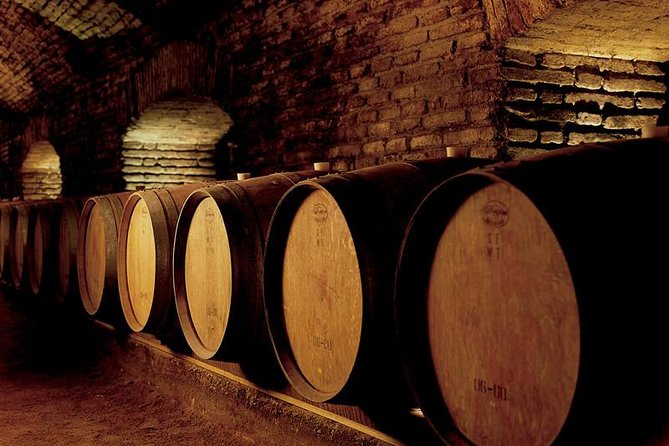 Santiago: Half day visit to Concha y Toro vineyard, include entrace & transport - Key points to know before booking