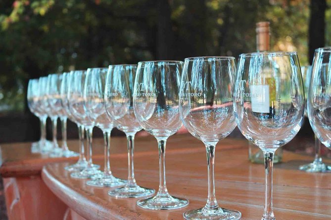 Santiago: Half day visit to Concha y Toro vineyard, include entrace & transport - The tasting and the Casillero del Diablo cellar
