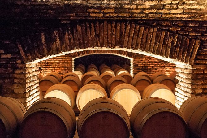 Santiago: Half day visit to Concha y Toro vineyard, include entrace & transport - Timing, closures, and simple planning tips