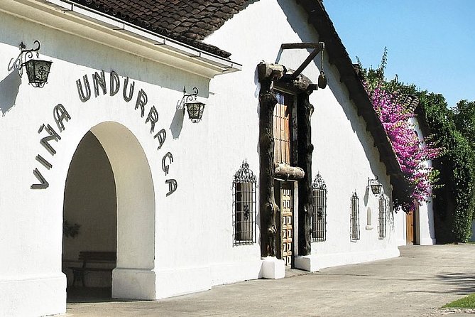 Santiago: Half day Visit to Undurraga vineyard, entrance and transport included - Key points to know before you book