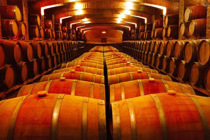 Santiago: Half day Visit to Undurraga vineyard, entrance and transport included - The tasting: three reserve wines, sometimes more