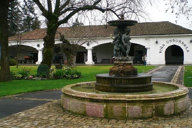 Santiago: Half day Visit to Undurraga vineyard, entrance and transport included - Who should book this four-hour vineyard visit