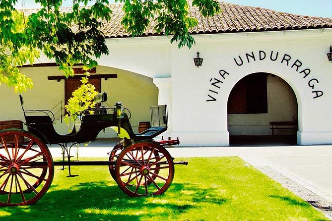 Santiago: Half day Visit to Undurraga vineyard, entrance and transport included - Should you book Viña Undurraga?