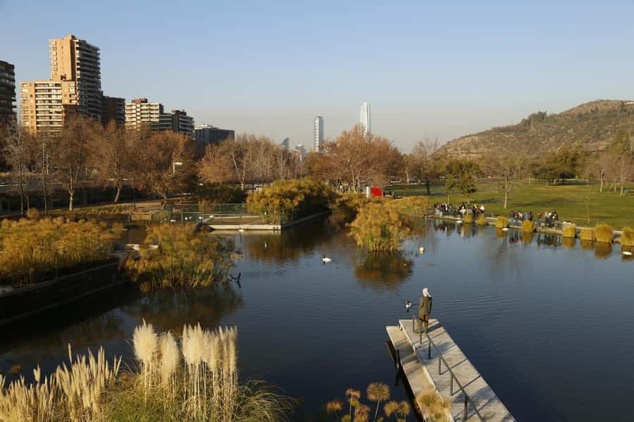 Santiago Half-Day Walking Tour with Hotel Pick up & Brunch - La Moneda and Chilean politics