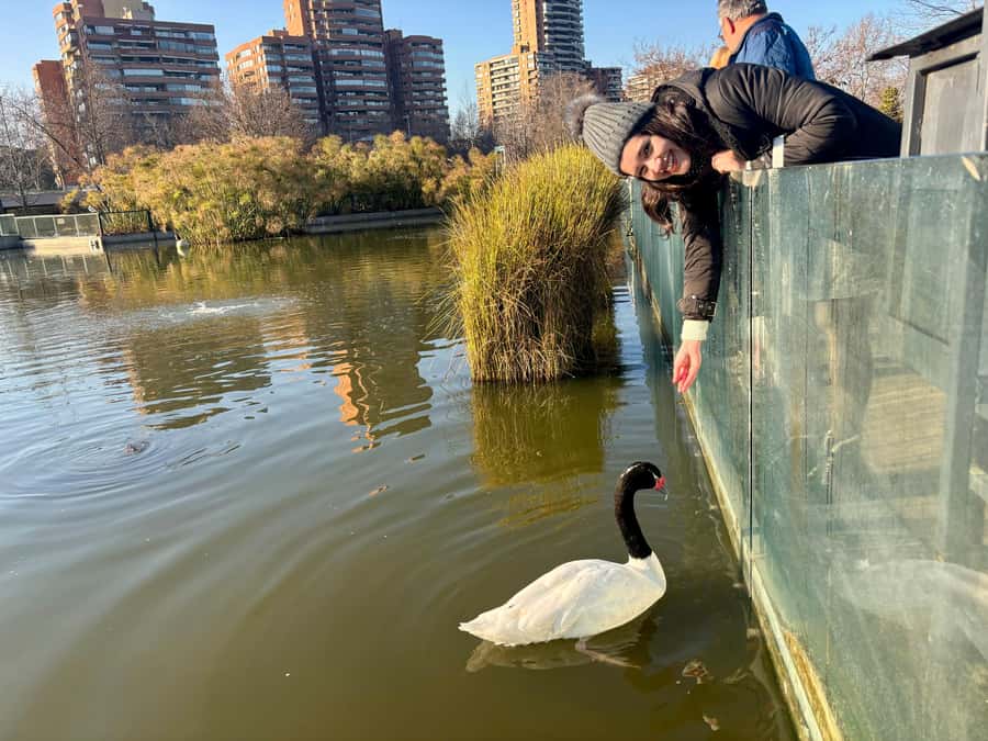 Santiago Half-Day Walking Tour with Hotel Pick up & Brunch - Santa Lucia Hill and the best city view