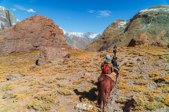 Santiago: Horse riding experience with Chilean BBQ all-included - Booking, timing, and cancellation advice