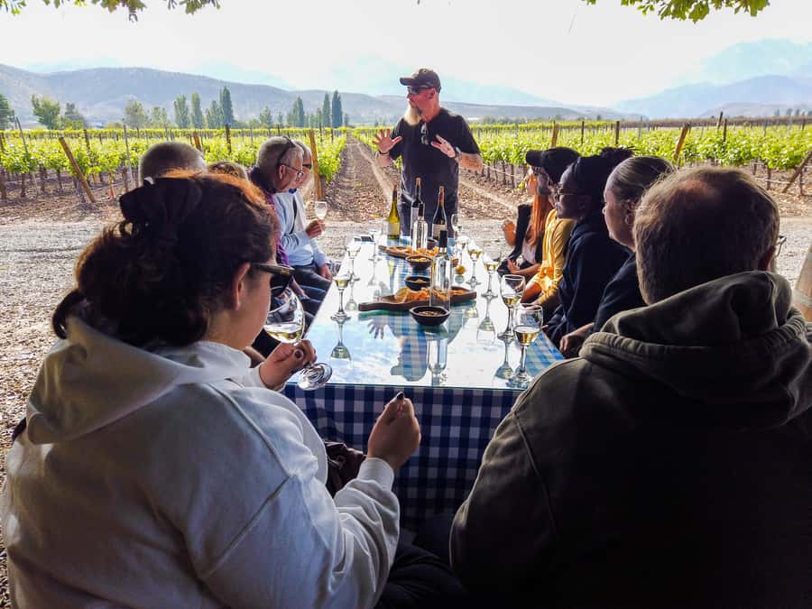 Santiago: Inca Lagoon Tour with Local Vineyard and Tasting - Aconcagua and the Los Andes Valley