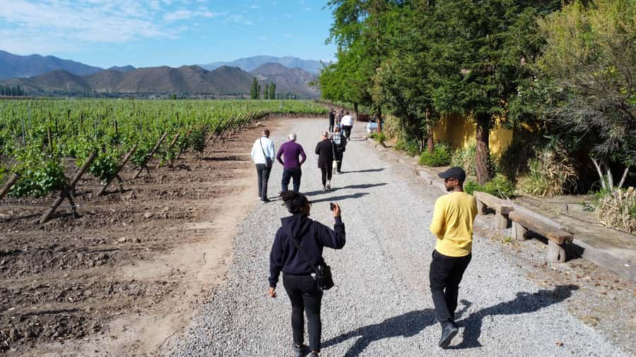 Santiago: Inca Lagoon Tour with Local Vineyard and Tasting - Portillo Ski Center and the turquoise Inca Lagoon