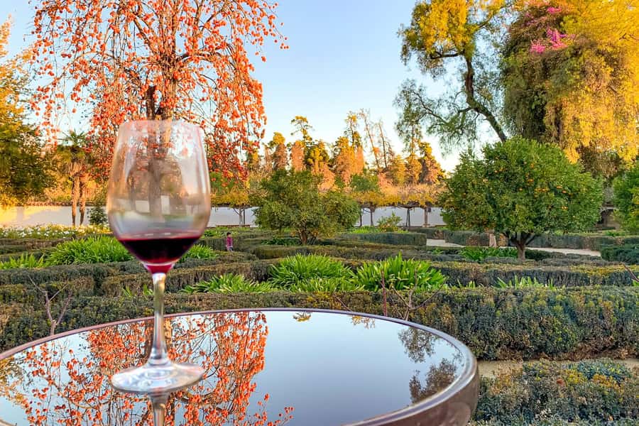 Santiago: Main Chilean Wineries Private Half-Day Tours - What the morning schedule feels like