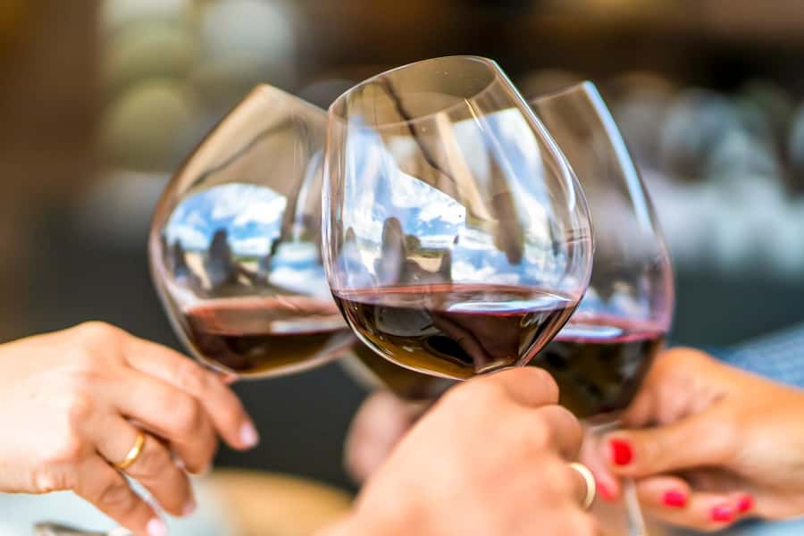 Santiago: Main Chilean Wineries Private Half-Day Tours - Is $290 per person a fair price?