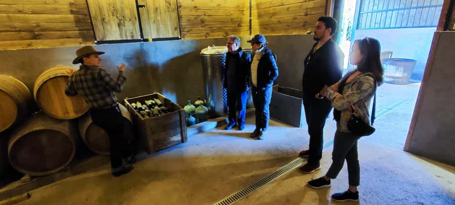 Santiago: Maipo Valley Wine Tasting Tour with 4 Vineyards - Is $134 good value?