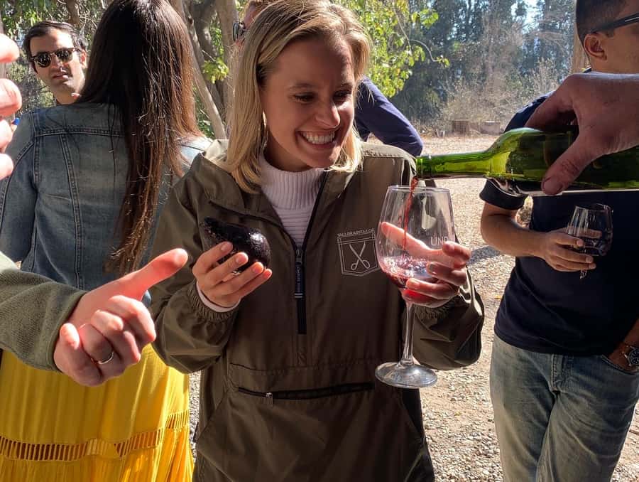 Santiago: Maipo Valley Wine Tasting Tour with 4 Vineyards - Why Maipo Valley makes a good day from Santiago