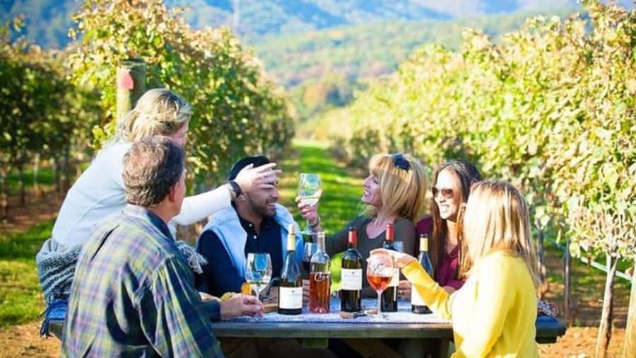 Santiago: Maipo Valley Wine Tasting Tour with 4 Vineyards - Campo La Quirinca, a real family farm with wine and pisco