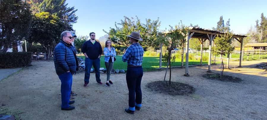 Santiago: Maipo Valley Wine Tasting Tour with 4 Vineyards - The guide and group can make or break the mood