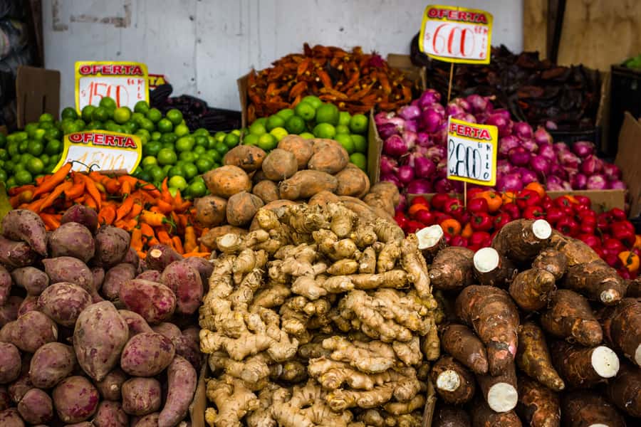Santiago: Markets Bike Tour - La Chascona and the Pablo Neruda connection