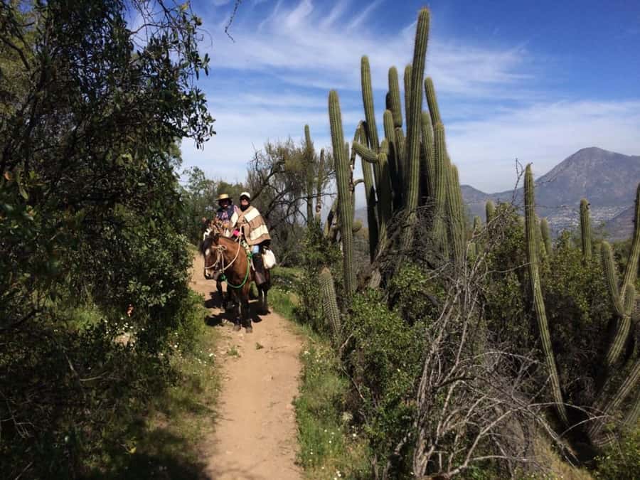 Santiago: Private Andes Foothills Horseback Riding. Half day - From Santiago Streets to Andean Trails