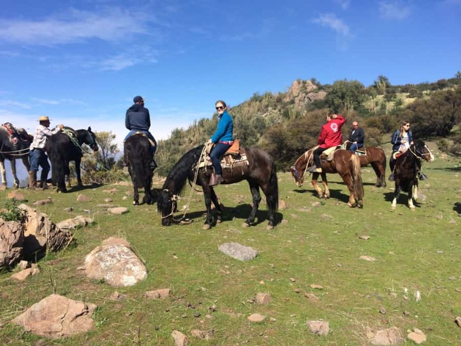 Santiago: Private Andes Foothills Horseback Riding. Half day - The 1.5-Hour Ascent Through Native Forest