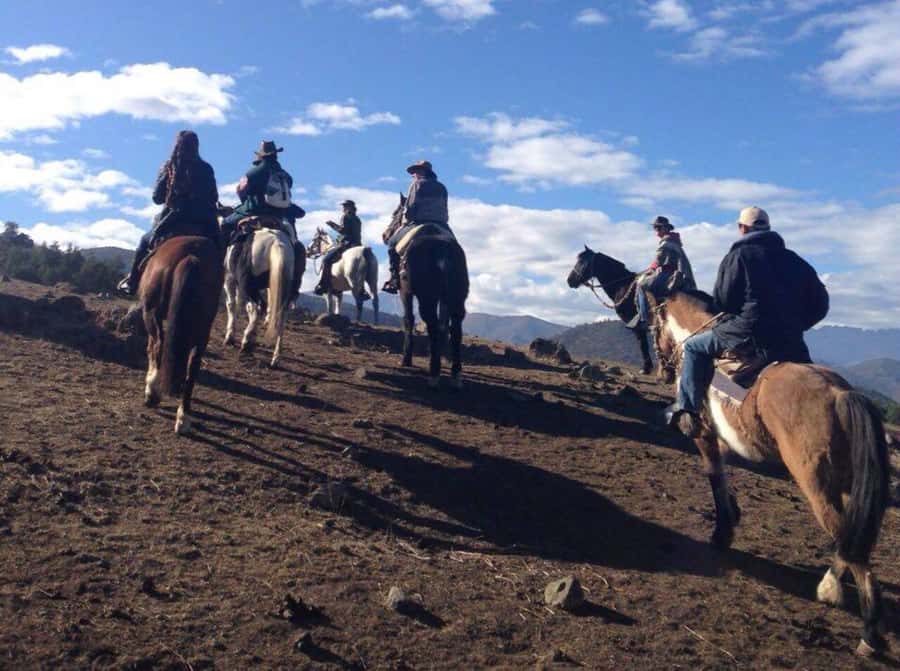 Santiago: Private Andes Foothills Horseback Riding. Half day - Who Should Book This Ride?
