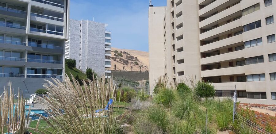 Santiago: Private Full-Day Valparaiso and Viña del Mar Tour - Moai, Vergara Park, and Viña del Mar’s polished side