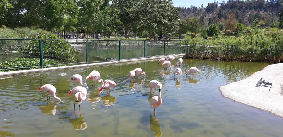Santiago: Private Half-Day City Tour - Chilean food as part of the city tour