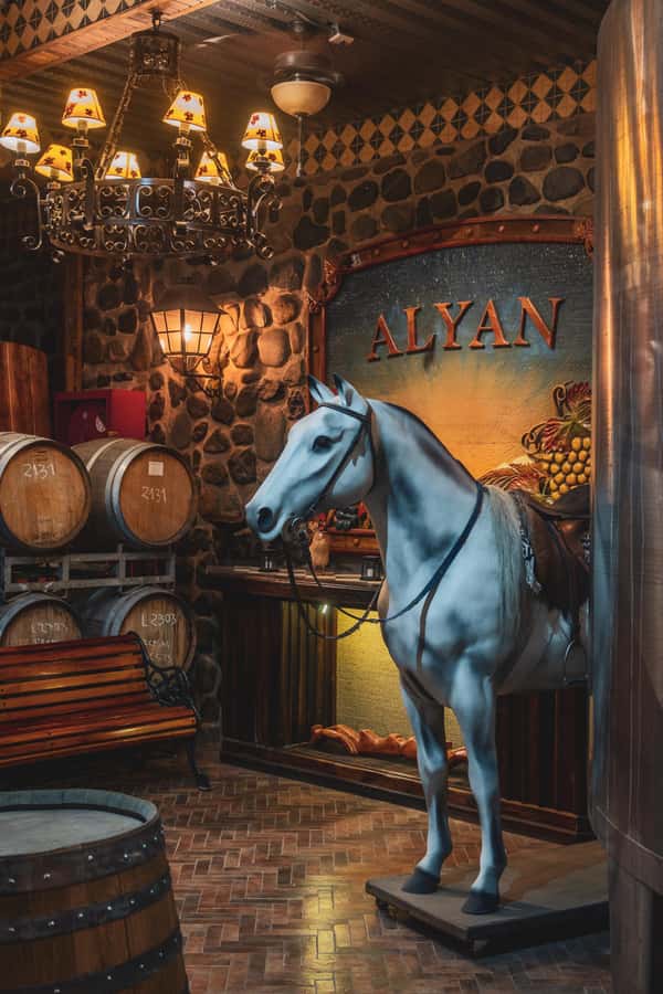 Santiago: Sunset at Vinicola Alyan Family - Six tastings without a one-and-done rule