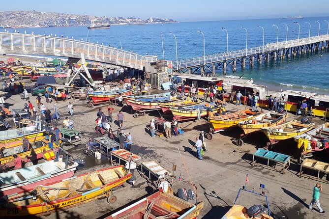 Santiago to Cruise Port and Valparaíso Tour - 4-Pax Deal - Cerro Alegre, Valparaíso’s most memorable walk