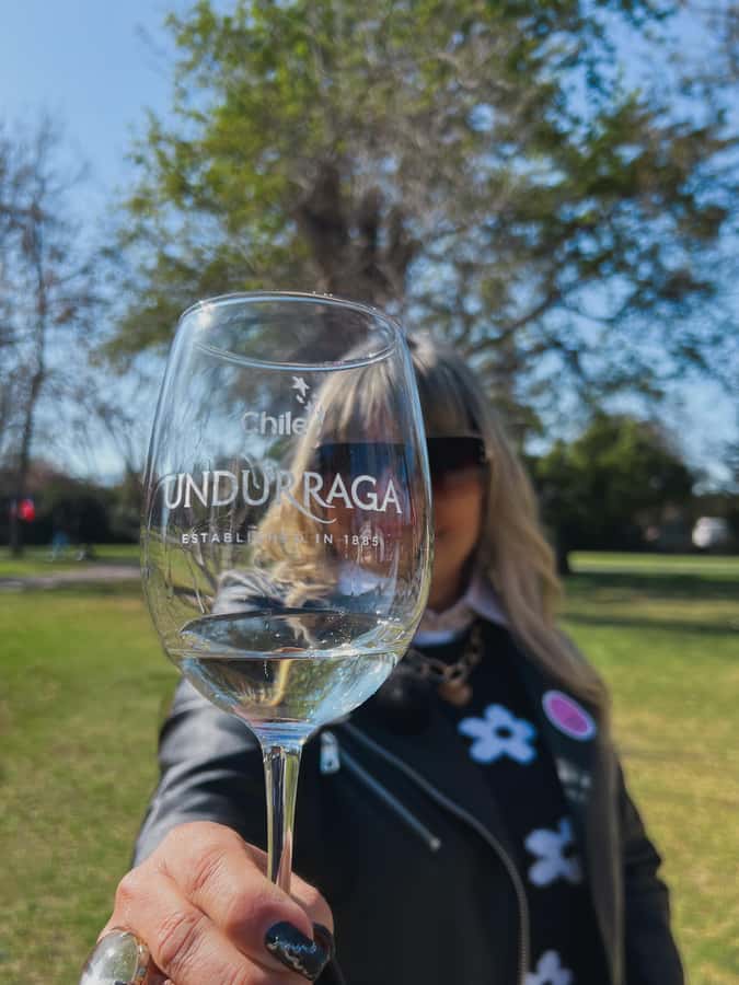 Santiago: Tour to Isla Negra, Algarrobo and Undurraga Wines - Undurraga Winery: gardens, cellars, and four wines