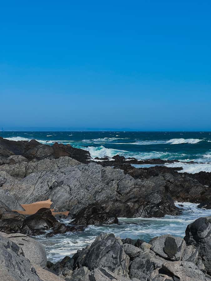 Santiago: Tour to Isla Negra, Algarrobo and Undurraga Wines - Isla Negra and Pablo Neruda’s house by the Pacific