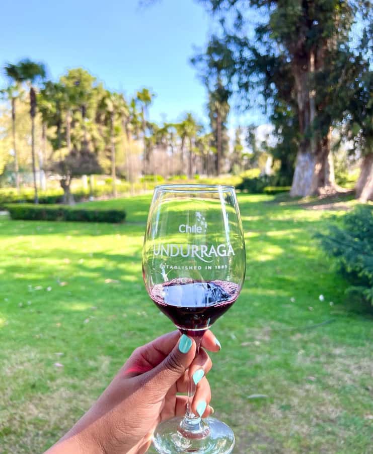 Santiago: Tour to Isla Negra, Algarrobo and Undurraga Wines - What the $76 price really covers