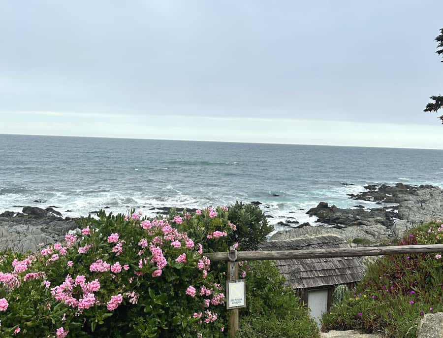 Santiago: Tour to Isla Negra, Algarrobo and Undurraga Wines - Who will enjoy this tour most