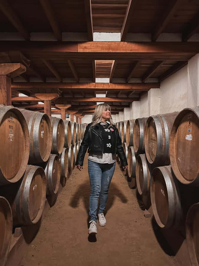 Santiago: Tour to Isla Negra, Algarrobo and Undurraga Wines - The road west from Santiago