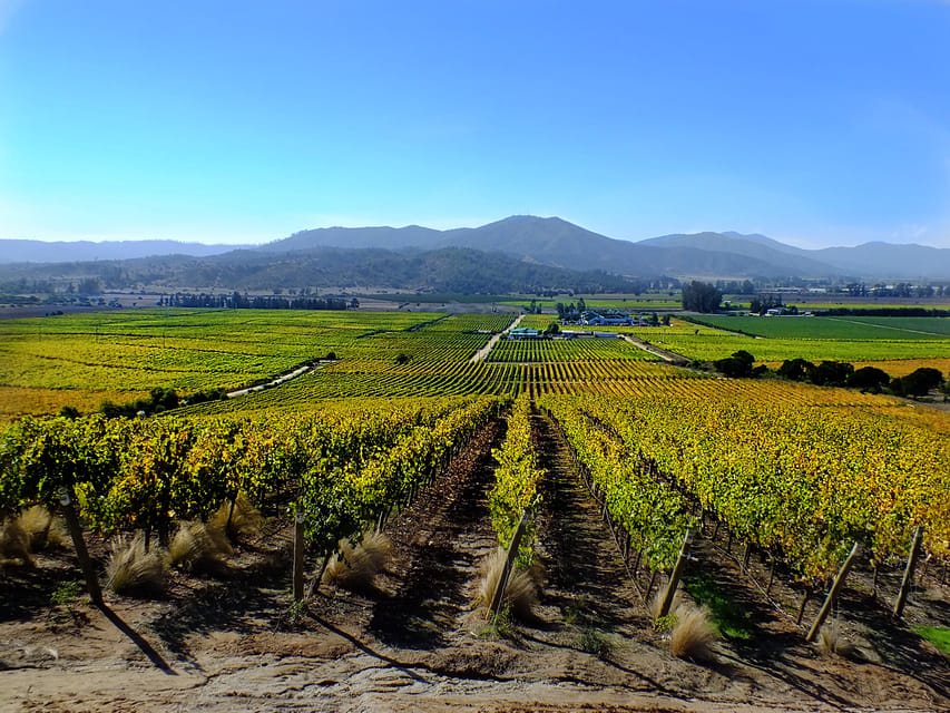 Santiago: Tour to Valparaiso and Casablanca - Lunch, timing, and the route to San Antonio