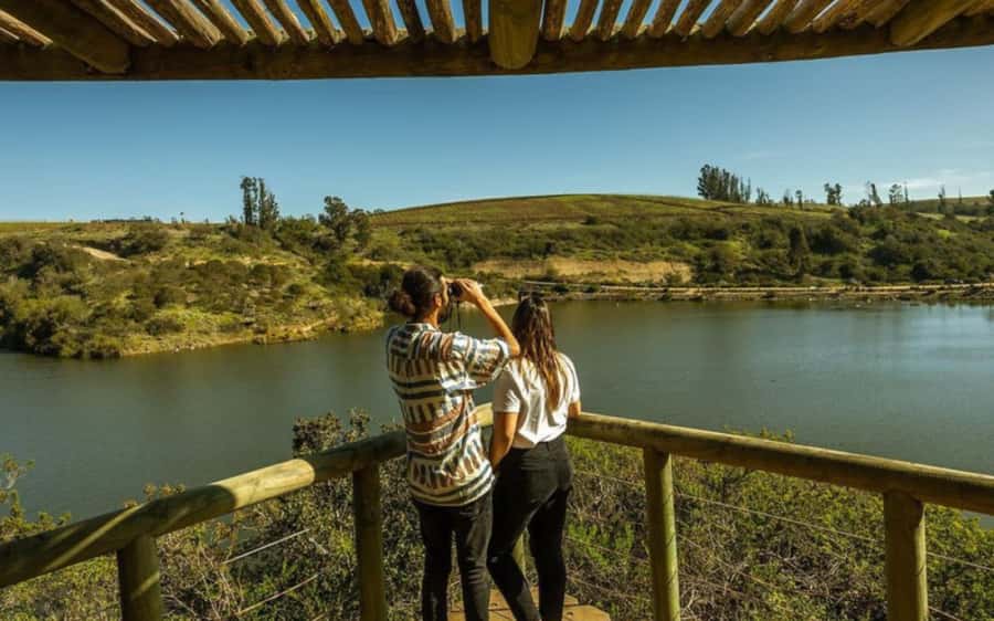 Santiago: Tricao Park & Pomaire Cultural Day Tour - Seeing South America’s largest aviary