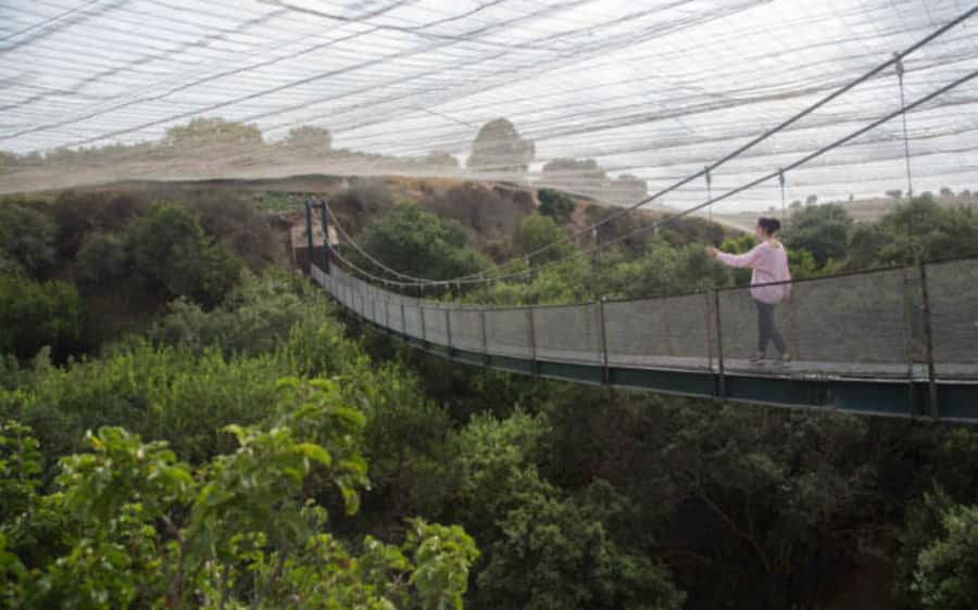 Santiago: Tricao Park & Pomaire Cultural Day Tour - Entering Tricao Park’s 120 hectares
